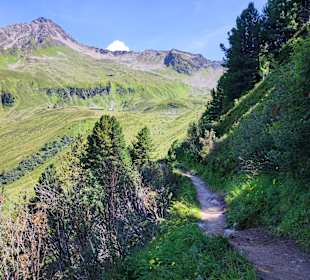 Wandern Ahorn Mayrhofen