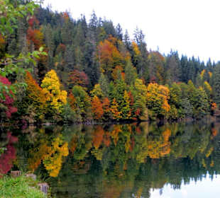Farbenpracht im Herbst