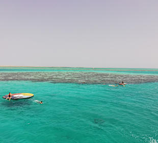 Schnorcheln Hausriff Beach Albatros Palace Resort Hurghada