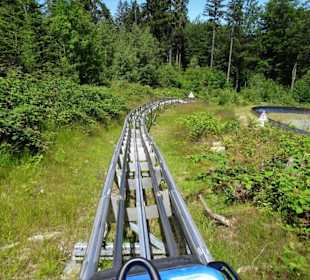 Unterwegs auf der Abfahrt des Alpine Coasters
