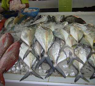 Frischer Fisch