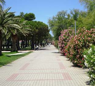 Spaziergang über die Strandpromenade Argelès-Plage
