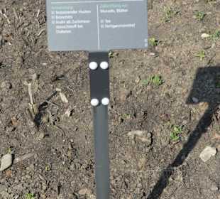 Hinweistafel zum eingepflanzten Kraut