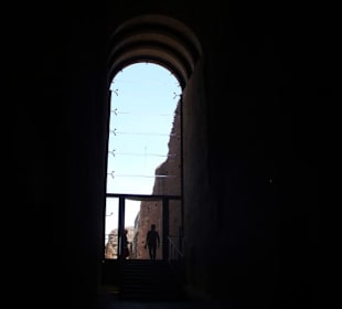Im Palatino.