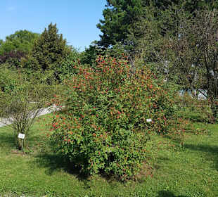 Botanischer Garten