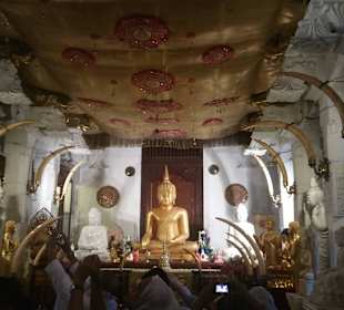 Kandy Zahntempel