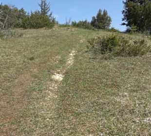 Premiumwanderweg Hochgehschätzt