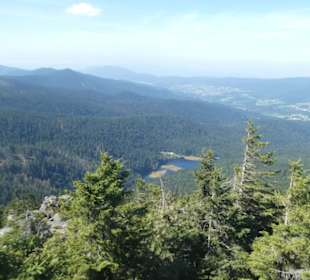 Wanderungen bei Bayerisch Eisenstein