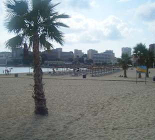 Strandbucht in Palma Nova