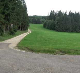 Wanderung Froschteich-Tour