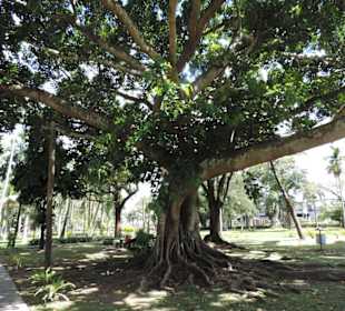 Im Garten des Museums