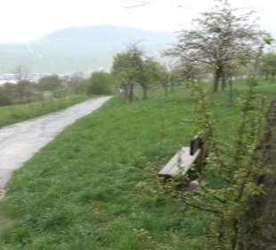 Kirschenheimat