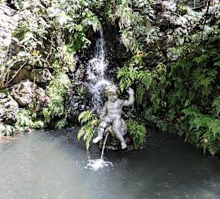 Inselrundfahrt Madeira