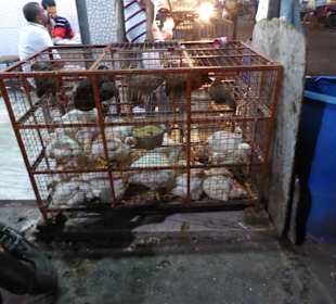 Hong Kong Market