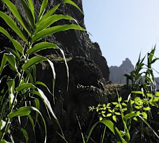 Schlucht von Masca