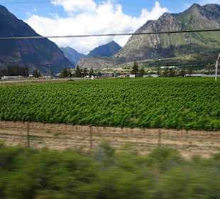 Shannon Falls Provincial Park