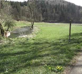 Wanderweg Hochgehswiggert