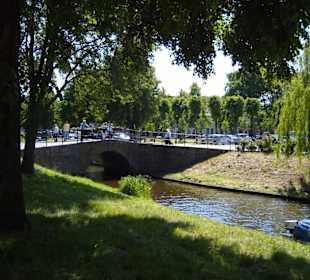Ein Rundgang durch die "Rosenstadt" im Sommer 