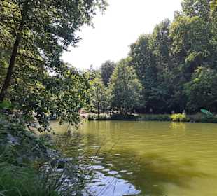 Bärenlochweiher in Kindsbach