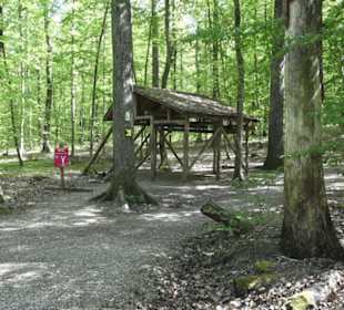 Wanderweg Hochgehwachsen