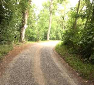 FriedWald Schönbuch