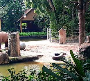 Singapur Zoo