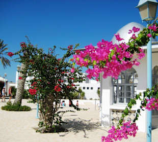 farbenprächtiger Vorplatz