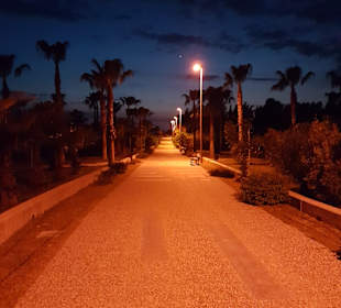 Parkpromenade