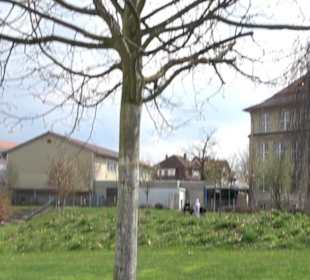 Bürgerpark Herrschaftsgärten