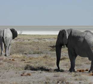 Etosha Nationalpark