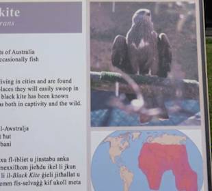 Malta Falconry Centre