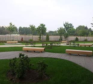 Palmiarnia Park Oliwski