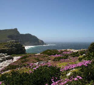 Cape of Good Hope