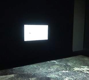 Naturparkzentrum Ruhestein