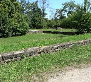 Ruine Engelburg