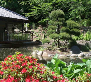 Oberer Teichgarten ...