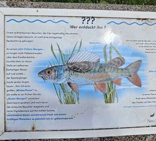 Fischlehrpfad