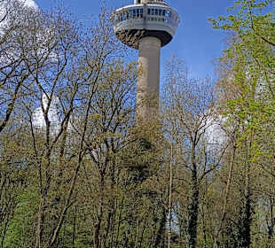 Euromast