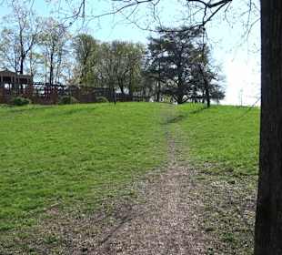 Rosengarten Villa Berg