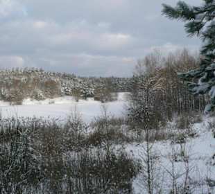 Im Winter