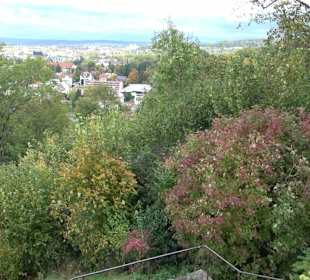Philosophenweg