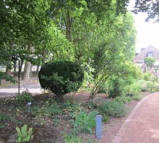 Rosengarten Zweibrücken