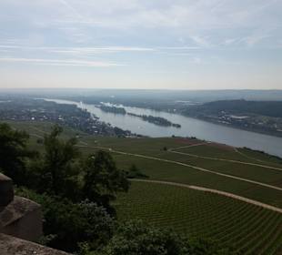 Blick auf den Rhein