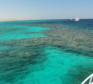 Korallenriff Ausflug Inselträume