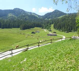 Albert Link Hütte