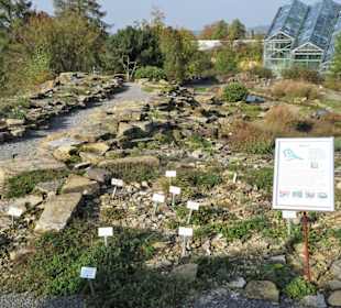 Im Alpinum des Botanischen Garten Osnabrück