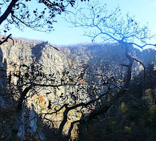 Bodetal