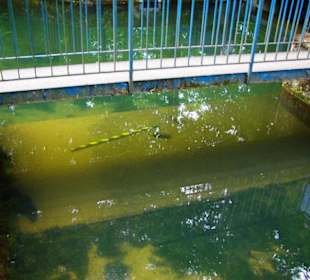 Der Stausee und seine Umgebung