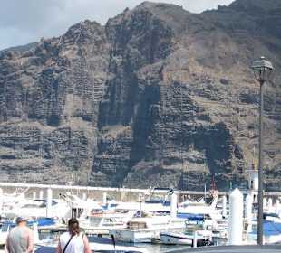 Los Gigantes