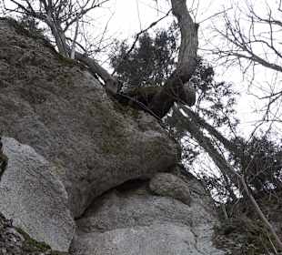 Teufelsbrücke